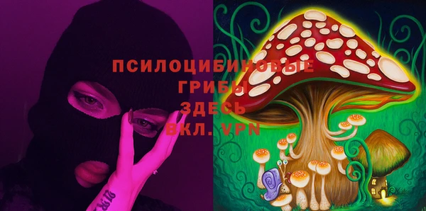 СК Белокуриха