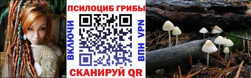 где купить наркоту  Верхотурье  Галлюциногенные грибы Cubensis 